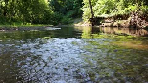 Forest Creek 4 Stock Footage 198747170