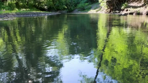 Forest Creek 5 Stock Footage 198747037