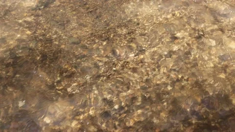 Forest Creek 8 Stock Footage 198747771