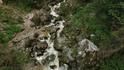 Forest creek flowing into the karst cave Stock Footage 120367995
