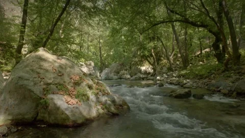 Forest Creek Flowing Through Rocks in Fethiye, Turkey Stock Footage 326214241