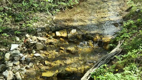 The forest creek flows down Stock Footage 93687093