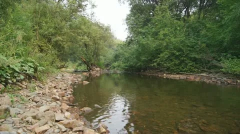 Forest Creek Landscape 01 Stock Footage 11519449