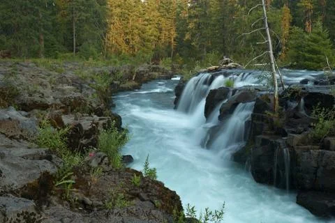 Forest creek Stock Photos