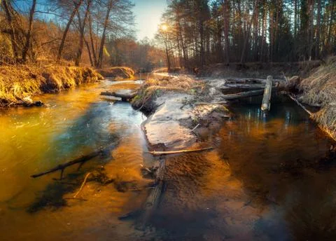 Forest creek Stock-Fotos
