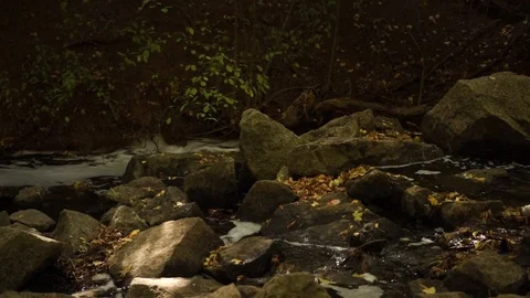 Forest creek with a running guy over stones Stock Footage 117043233