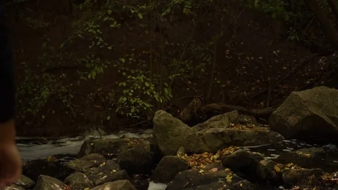 Forest creek with a running guy over stones Stock Footage 117043379