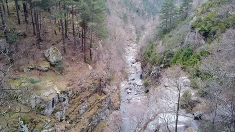 Forest Creek Seen From Mountain Trail Vídeos de archivo 332136803