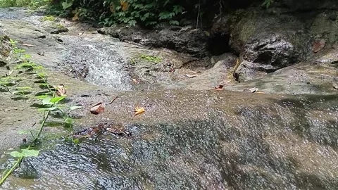 Forest Creek Water Flowing Through Rocky Natural Channel Stock Footage 329782779