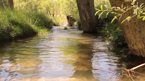Forest creek with water ripples and sun in Andalusia Spain Stock Footage