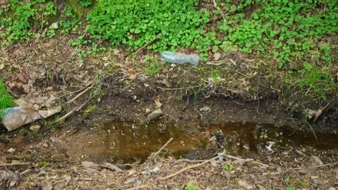 Forest Creek Water Stream Polluted with Glass and Plastic Bottles Garbage Trash Stock Footage 275074692