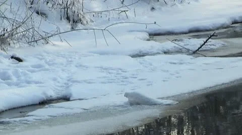 Forest creek in winter Stockbeeldmateriaal 20480347