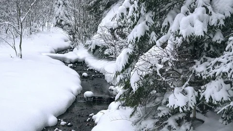 Forest creek in winter Stock Footage 100902927
