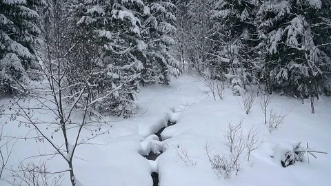 Forest creek in winterslow motion Stock Footage 99745562
