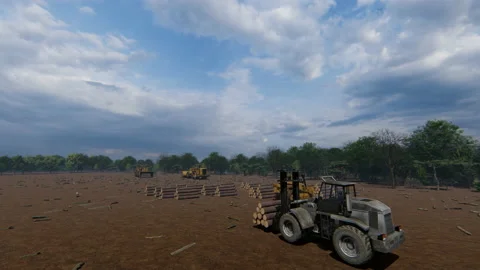 Forest cut down, tree logs and stumps, heavy machinery at work, 4K Video stock 132404531