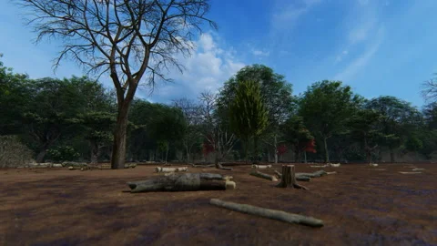 Forest cut down, tree stumps, heavy machinery at work, 4K Stock Footage 131527855