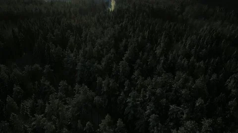 Forest cutting and atmospheric pollution in Russia Stock Footage 169870895