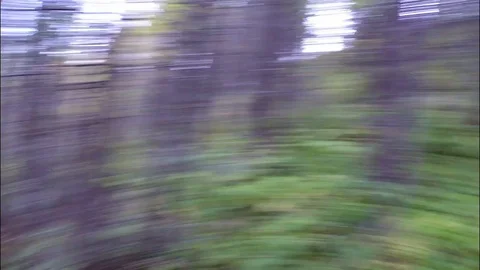 Forest. Danger. The man looks around and quickly rises up the hill. Video stock 83553476