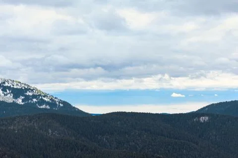 Forest at dark mountains Stock Photos