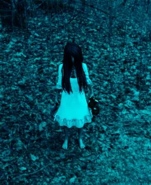 Forest of the darkness Stock Illustration