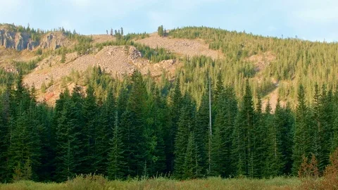 Forest dawn pan and hillside Mirror Lake Mt. Hood Oregon Cascades 13 Stock Footage 81692511