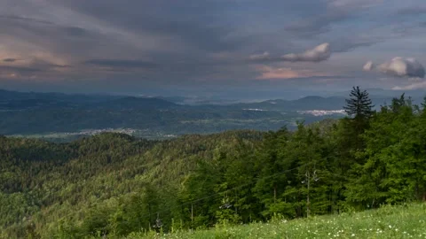 Forest Day To Night Timelapse Stock Footage 139662279