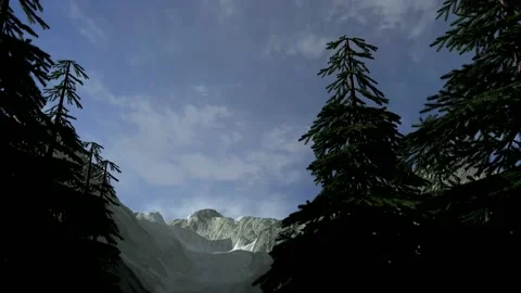 Forest Day Night Timelapse Loop 60Fps 動画素材 233871130