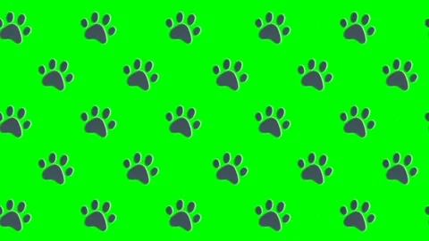 Forest Day Pop-Up, Seamless, Pattern Characters: Green Screen Essentials Video stock 279199024