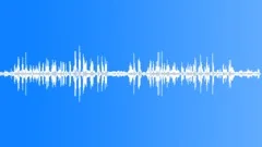 Forest Daytime Ambience Sound Effect