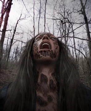 Forest of the death Stock Illustration