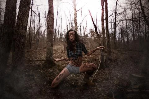 Forest of the death Illustrazione stock
