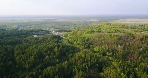 Forest deciduous and coniferous. top of trees. green. nature. Clean Air. Stock Footage 75842169