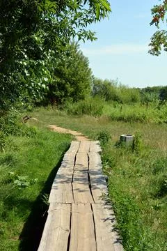Forest of deciduous trees with Bug River of village Rybienko Nowe, Poland. Stock Photos