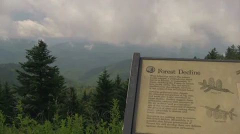 Forest Decline Signage on the Blue Ridge Parkway Stock Footage 12673772