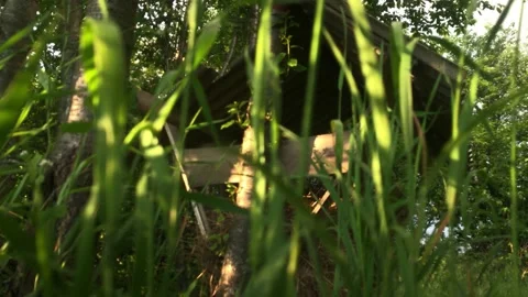 Forest deer feeder with hay on a summer edge of a sunny summer evening Stockbeeldmateriaal 132343369