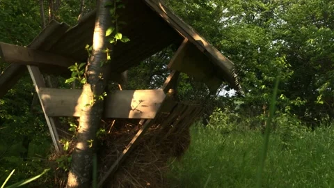 Forest deer feeder with hay on a summer edge of a sunny summer evening Stock Footage 132343482