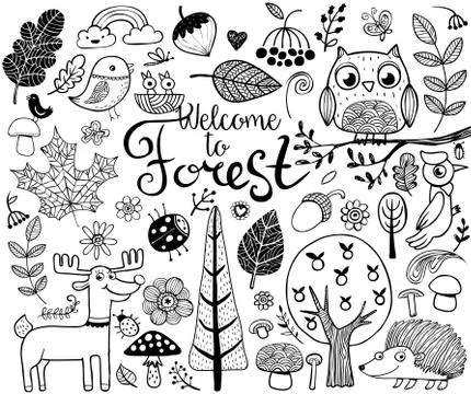 Forest design elements in doodle style Stock Illustration