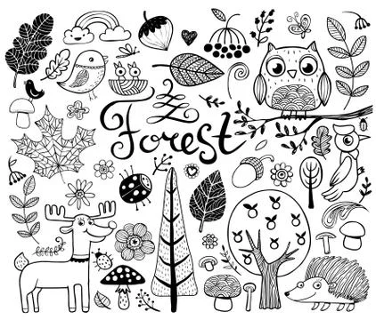 Forest design elements in doodle style Stock Illustration
