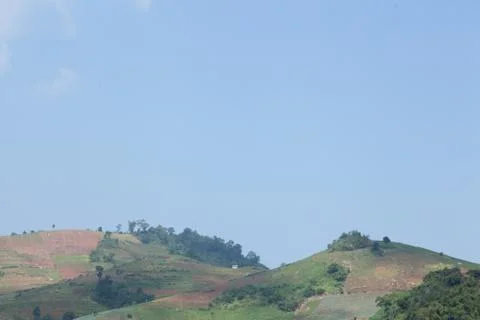 Forest destruction Stock Photos