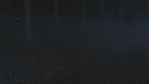 In forest detectives young men running at night with flashlight. Security Stock Footage 183427171