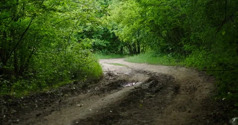 Forest dirt road in spring Stock Footage 132351156