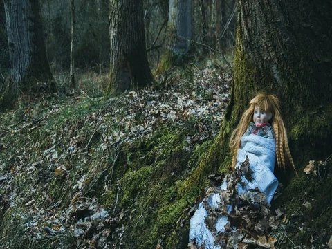 Forest dolls Stock Footage 105955150