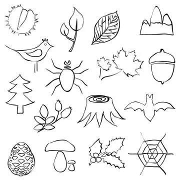 Forest doodle images Stock Illustration