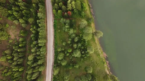 Forest Down Aerial Stock Footage 219269784