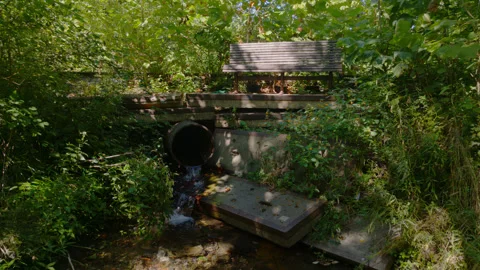Forest with Drain Pipe and Park Bench Stock Footage 249263883