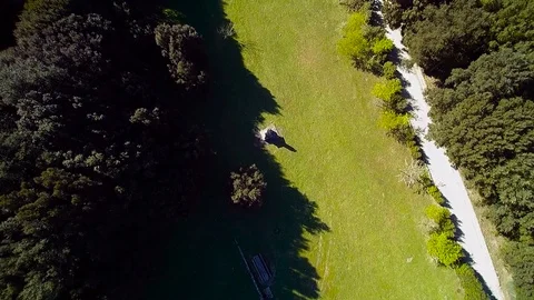 Forest dron 스톡 동영상 88545465