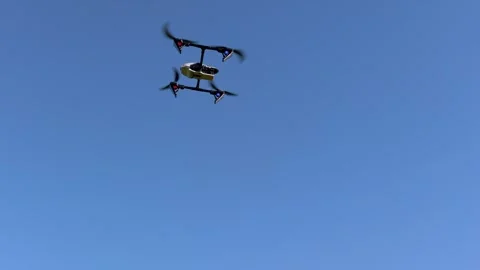 Forest drone fly Stock Footage 259699033