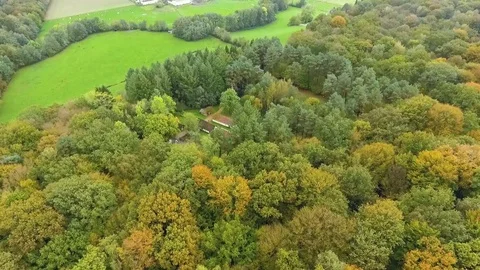 Forest drone footage 動画素材 124296645