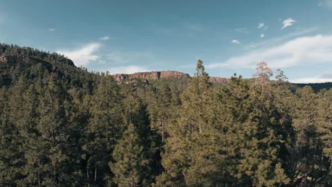 Forest Drone Shot - Upper Canyon Campground - Tonto National Forest 스톡 동영상 243028342