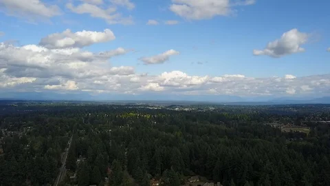 Forest Drone View 스톡 동영상 92489689